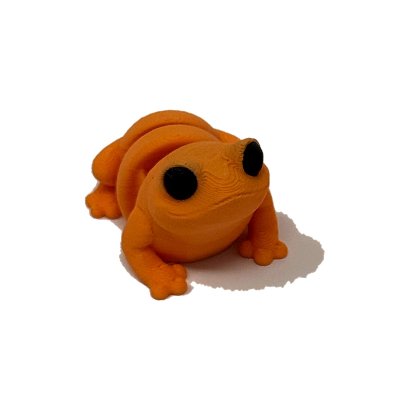Orange frog