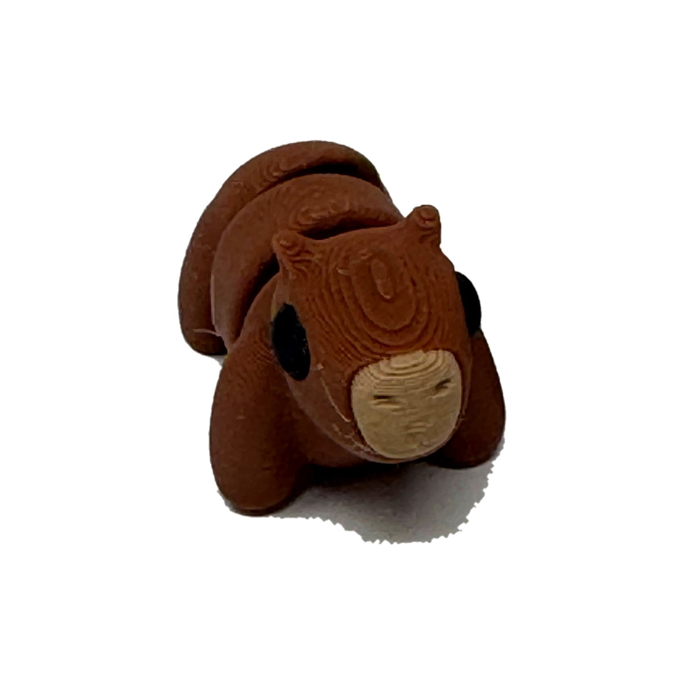 Brown capybara