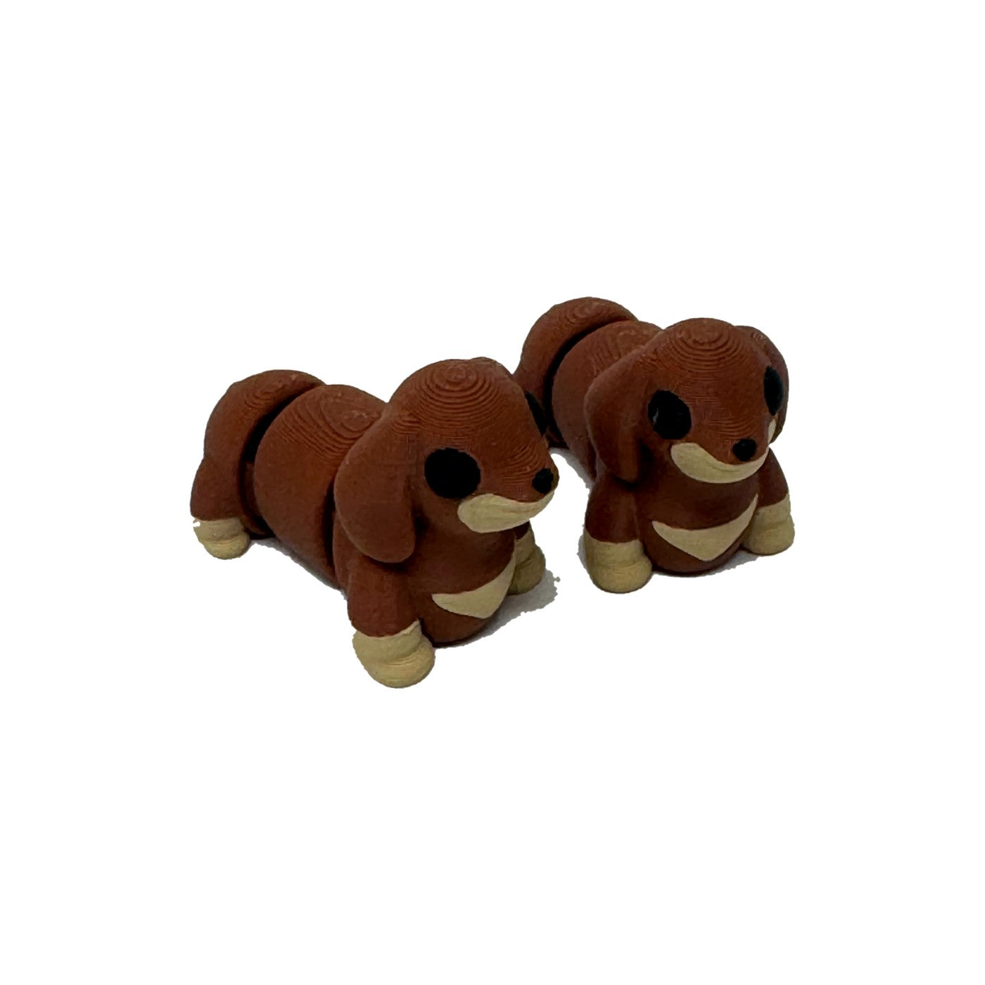 Brown dachshund mini