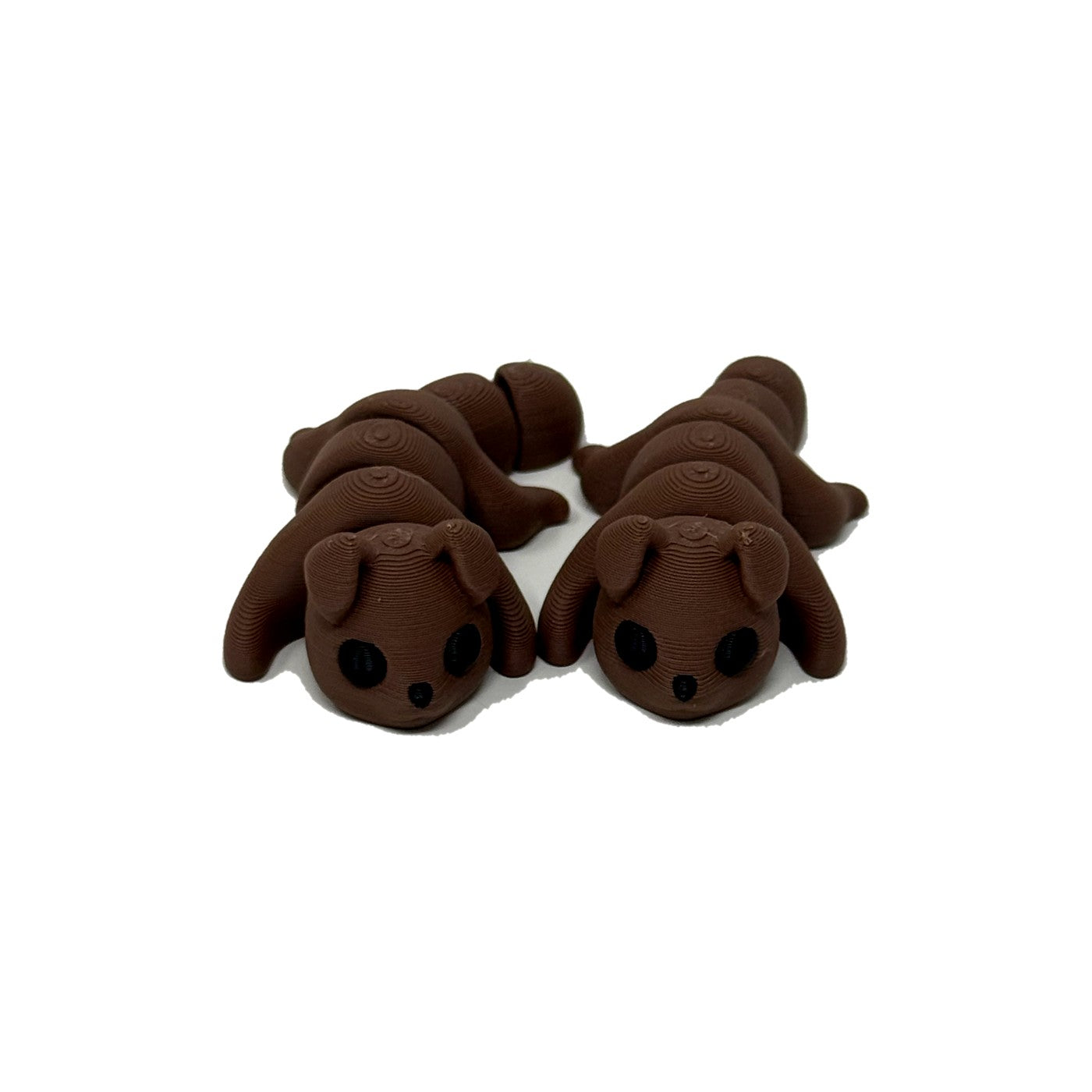 Brown dog