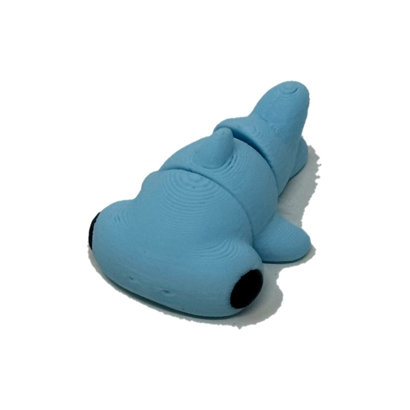 Light blue hammerhead shark