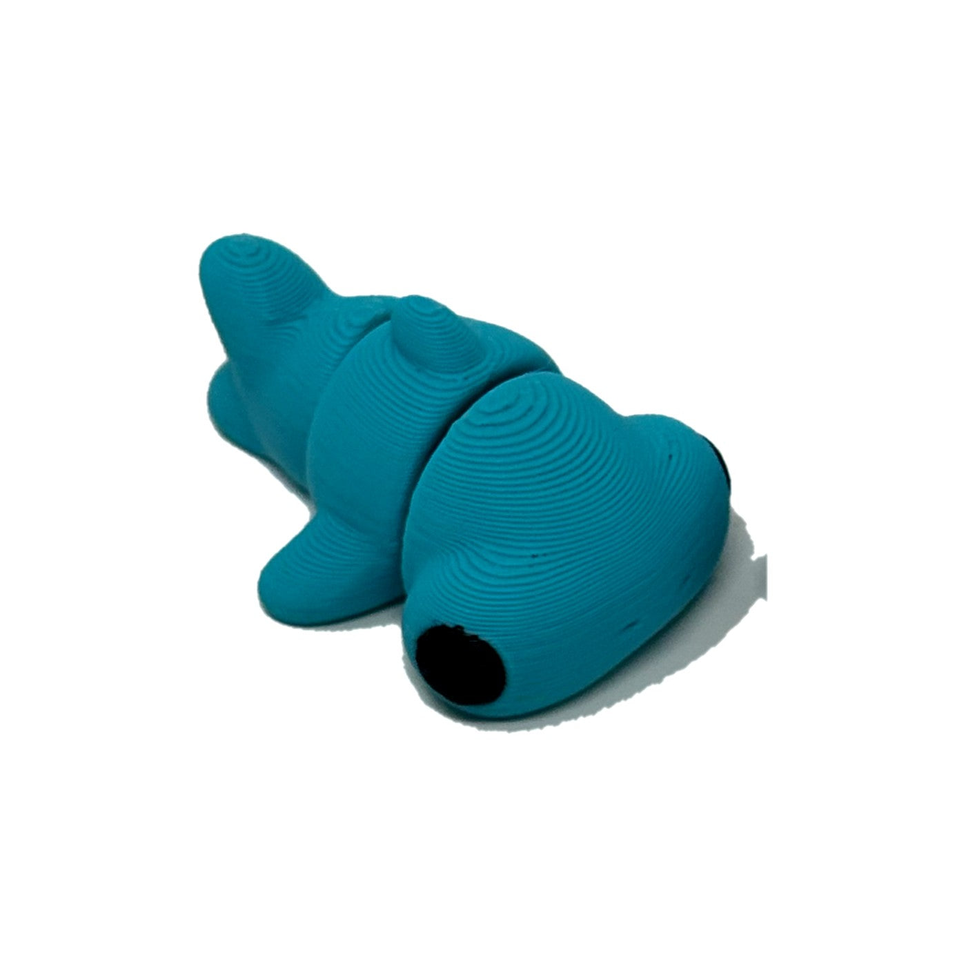 Teal hammerhead shark