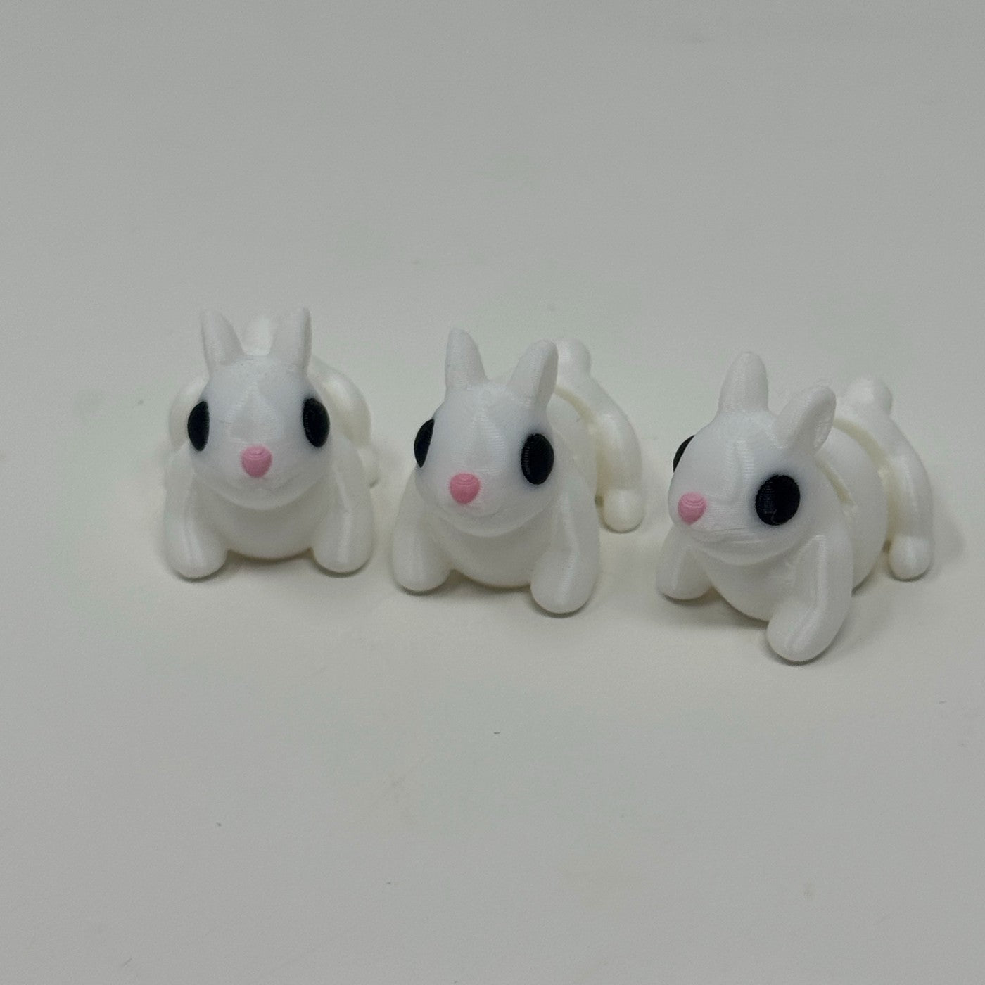 White bunny