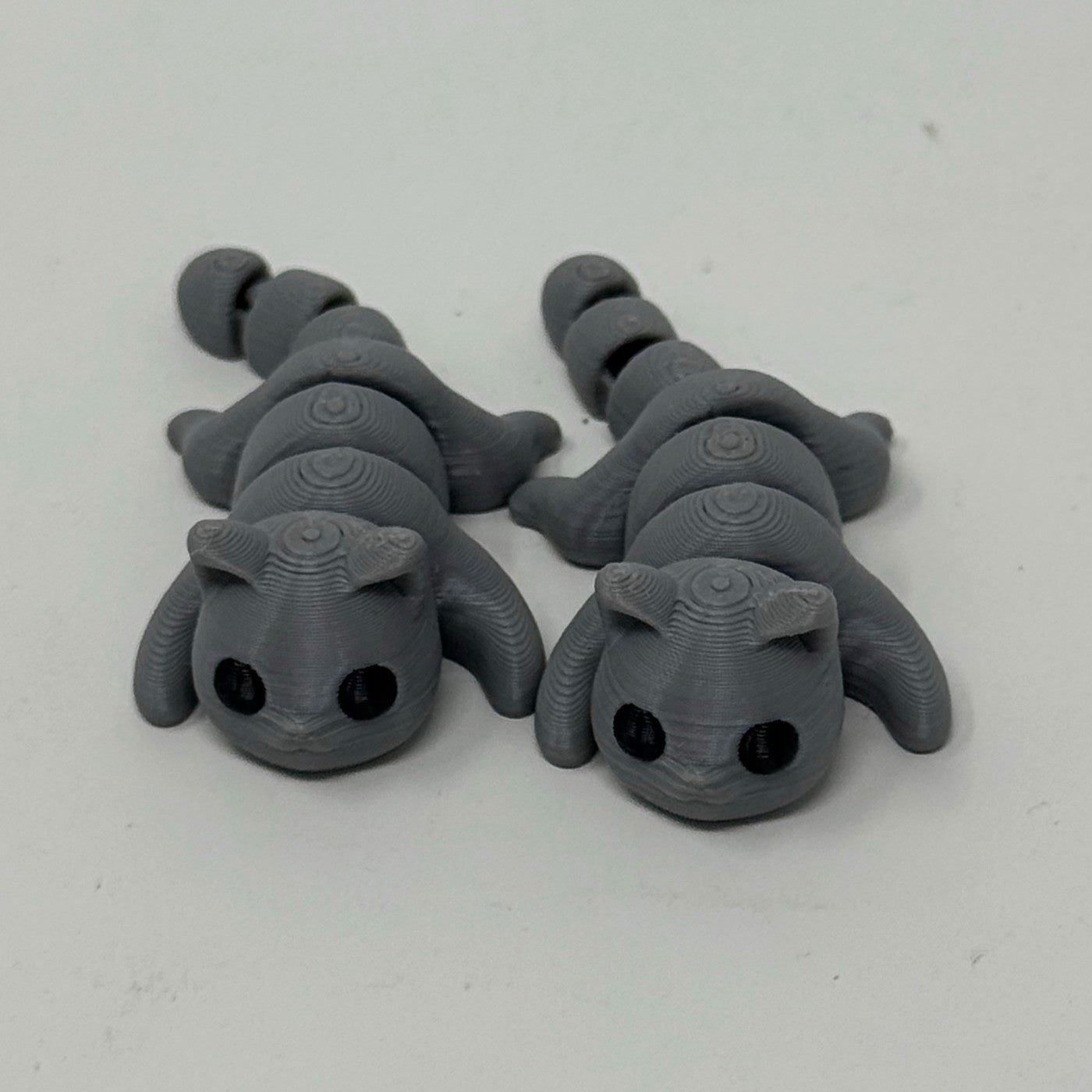 Grey cat