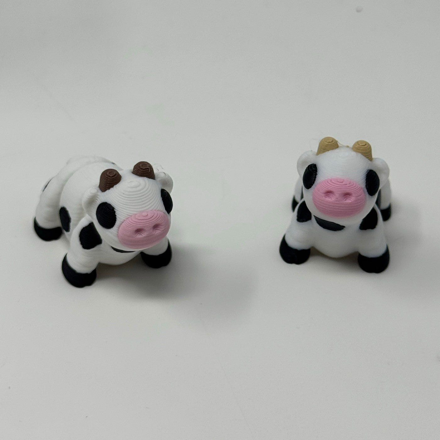 Black and white cow