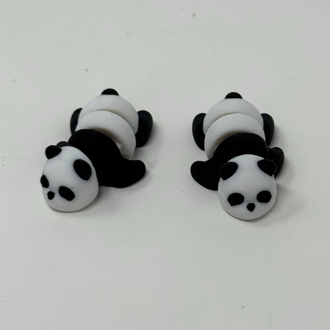 Black and white panda