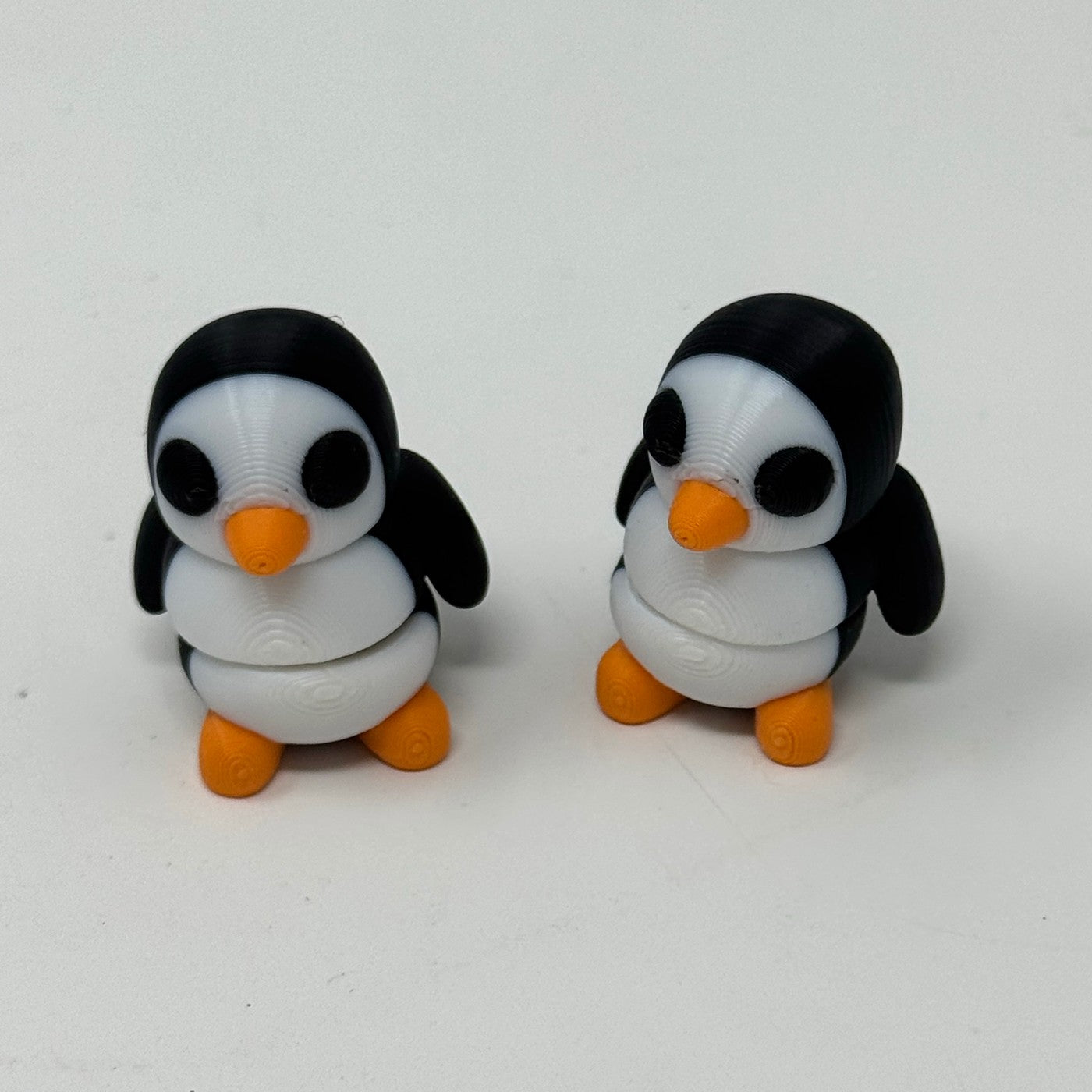Black and white penguin