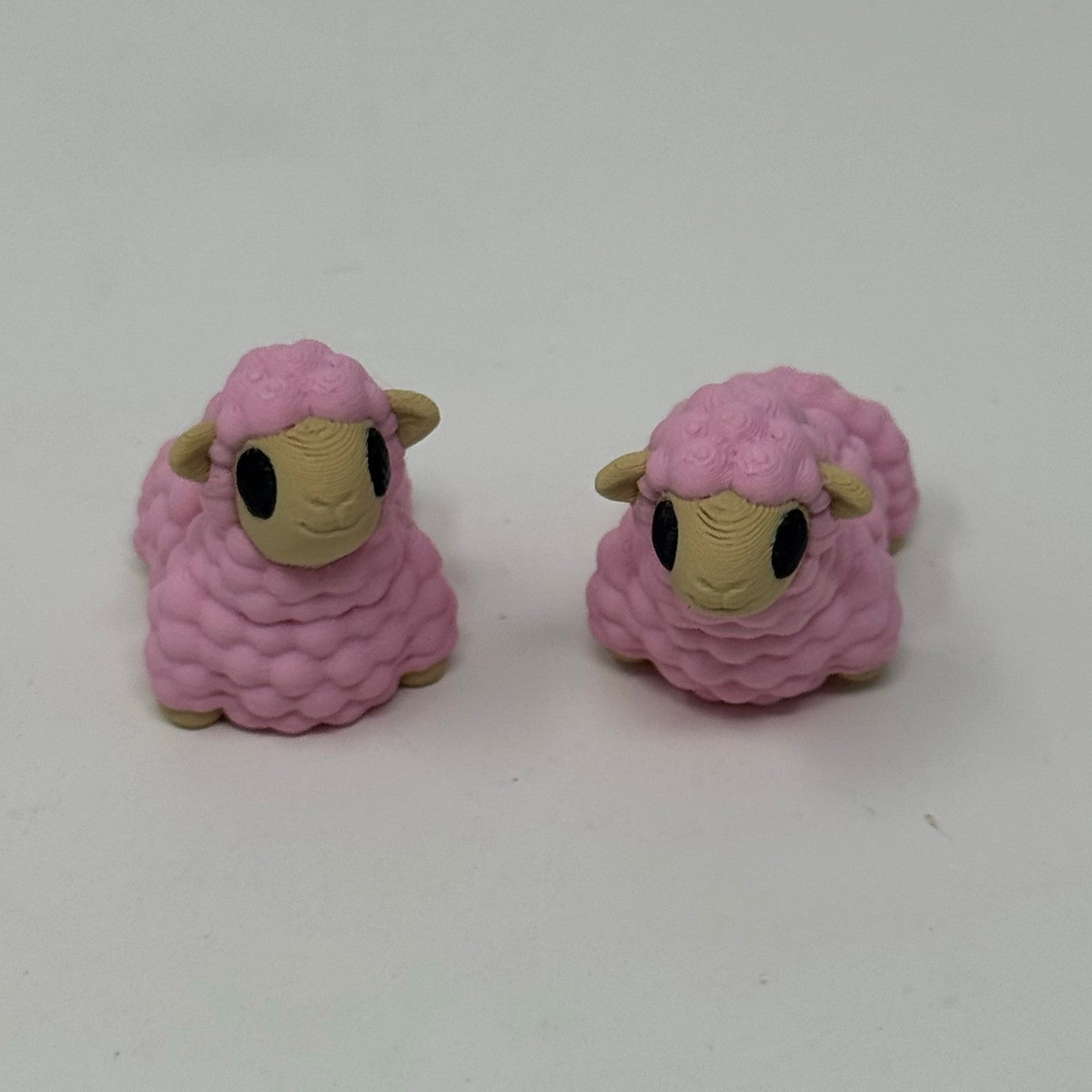 Pink sheep