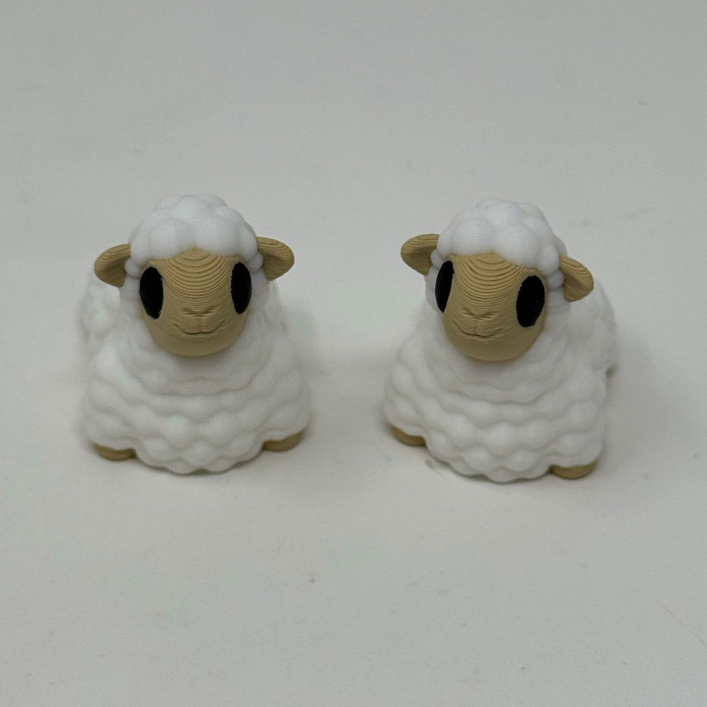 White sheep