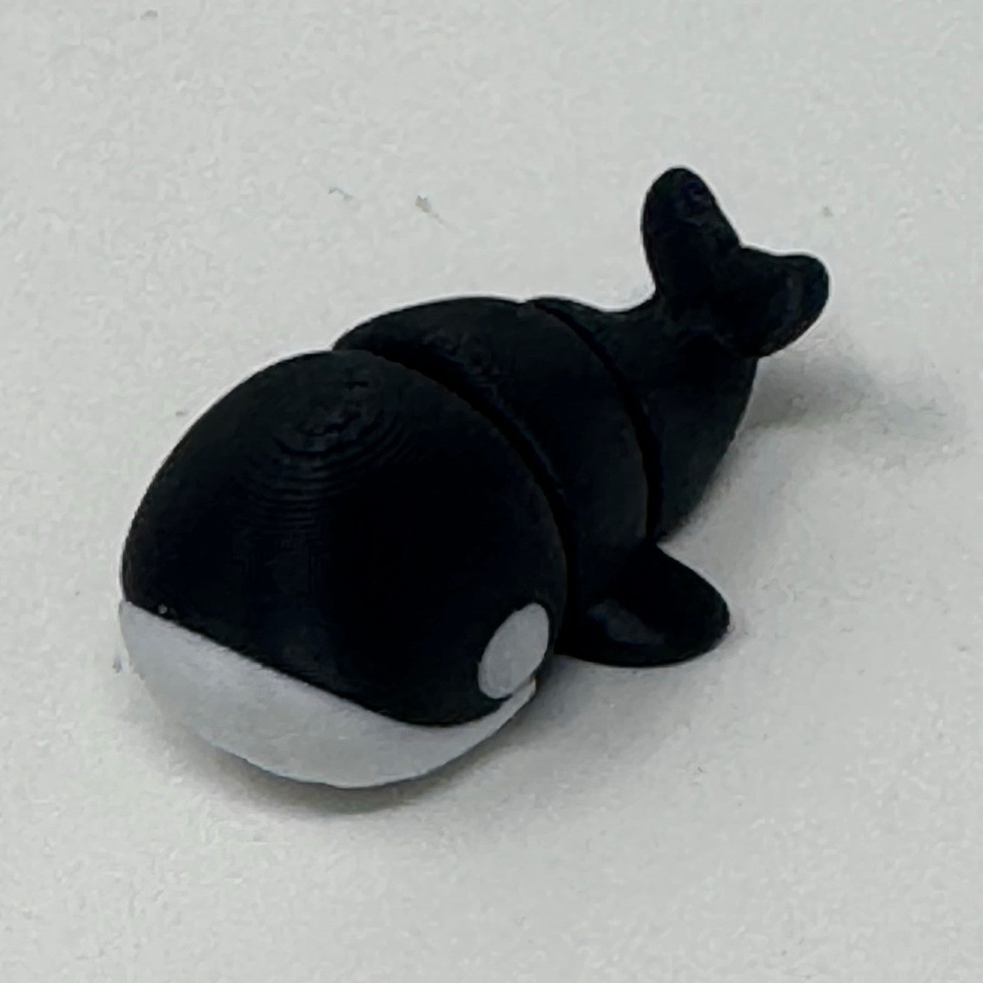 Black whale