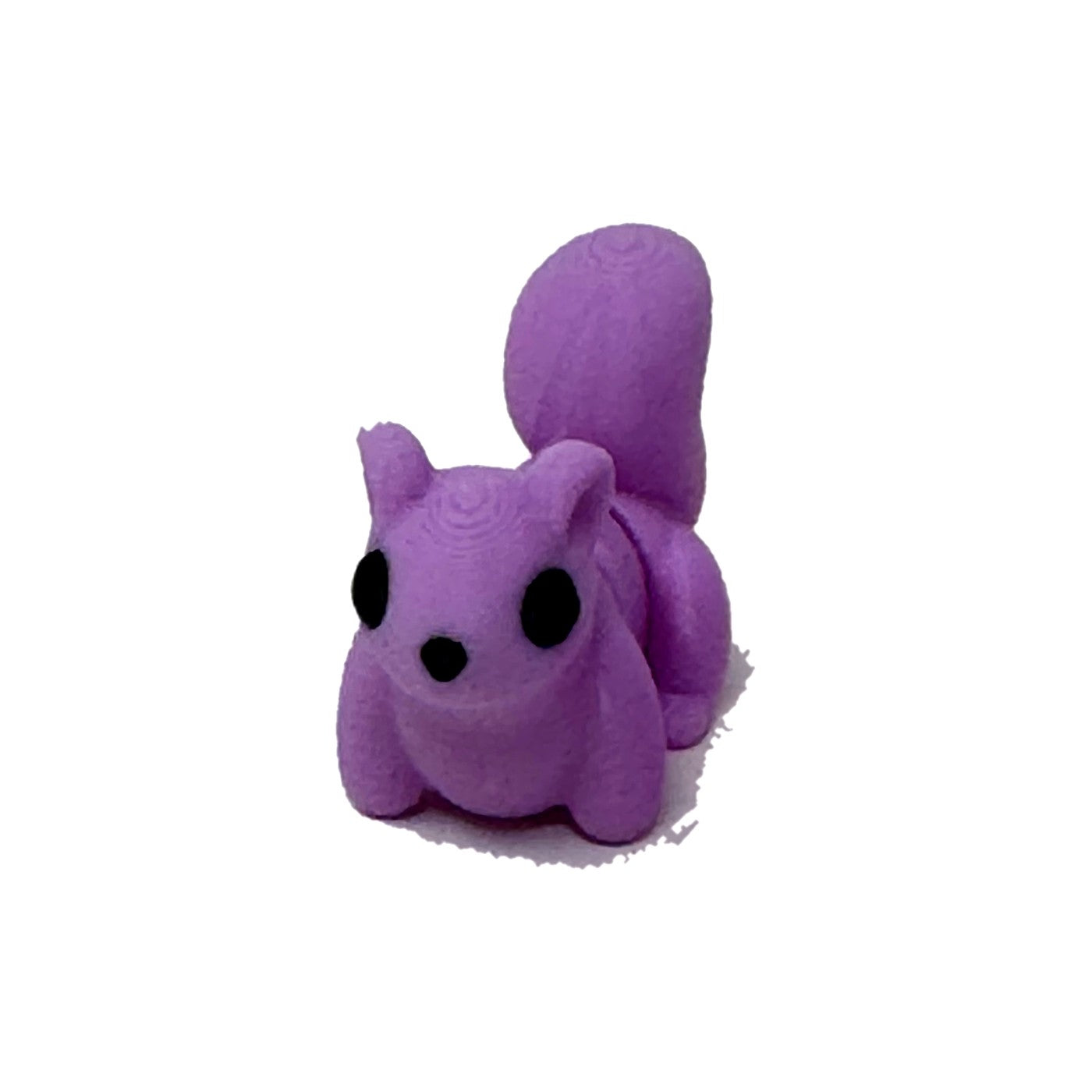 Purple squirrel