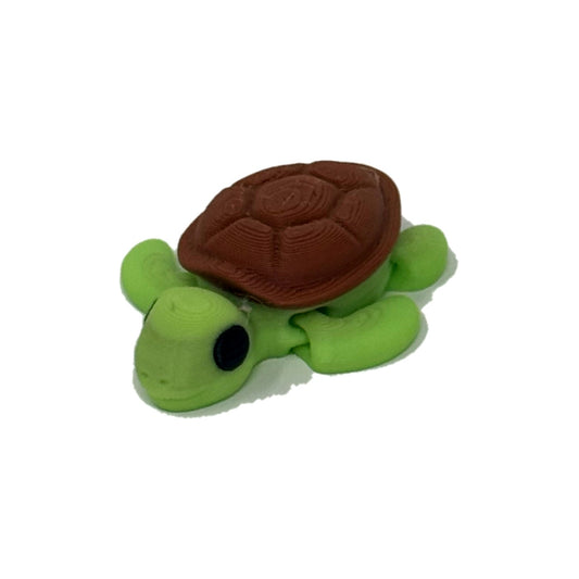 Green turtle