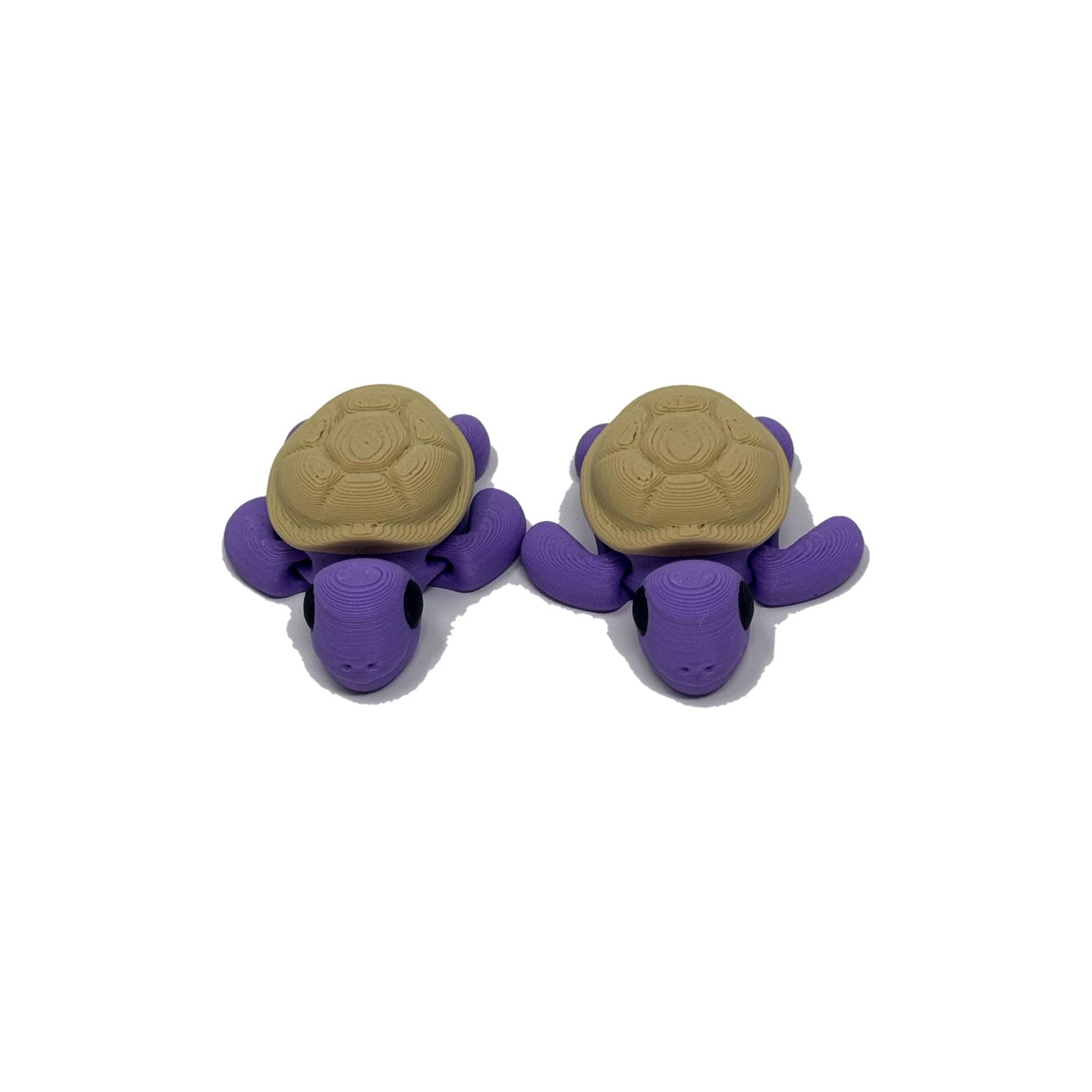 Purple turtle